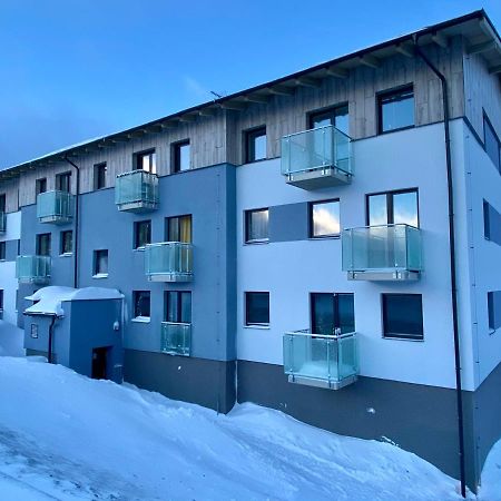 Apartment Petra Klinovec Loucna pod Klinovcem Luaran gambar